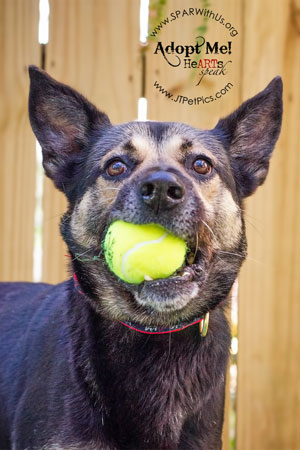 Snickers available via Sparwithus.org